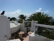 Terraza con vistas